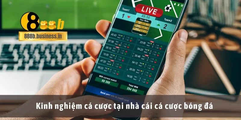 Kinh nghiệm cá cược tại nhà cái cá cược bóng đá