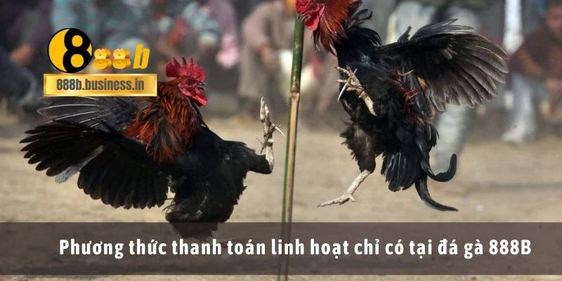 Phương thức thanh toán linh hoạt chỉ có tại đá gà 888B