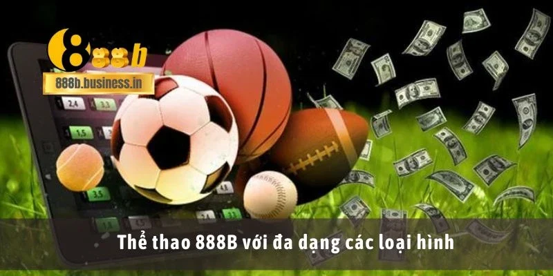 Thể thao 888B với đa dạng các loại hình